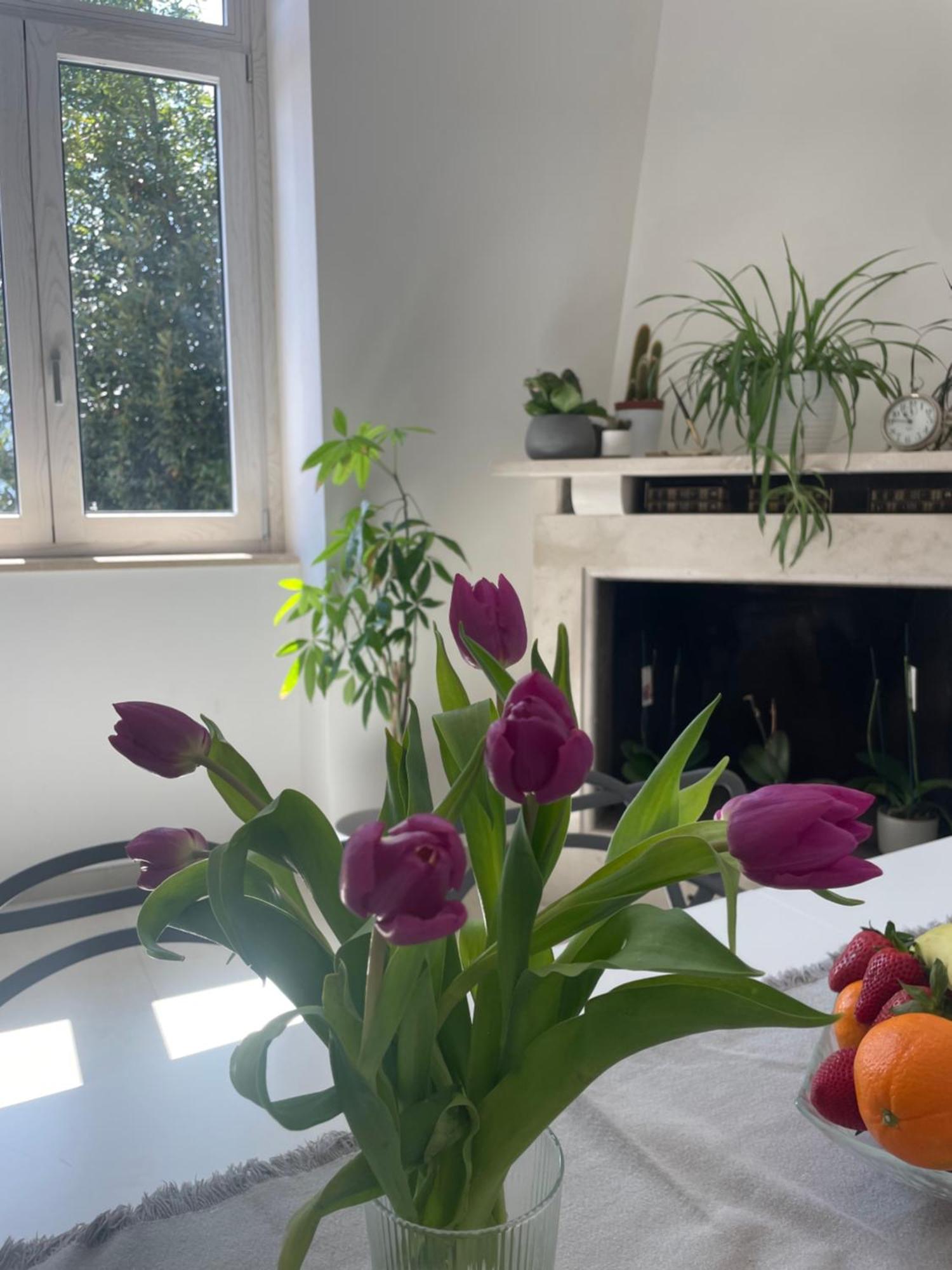 Apartmán La Casa De Lu Barone San Demetrio ne' Vestini Exteriér fotografie